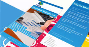 Bizval Flyer Design Project | Flyer Design by Soluciones Creativas