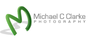 Logo Design by Xanna