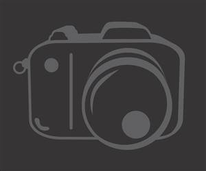 Logo Design by vector1st