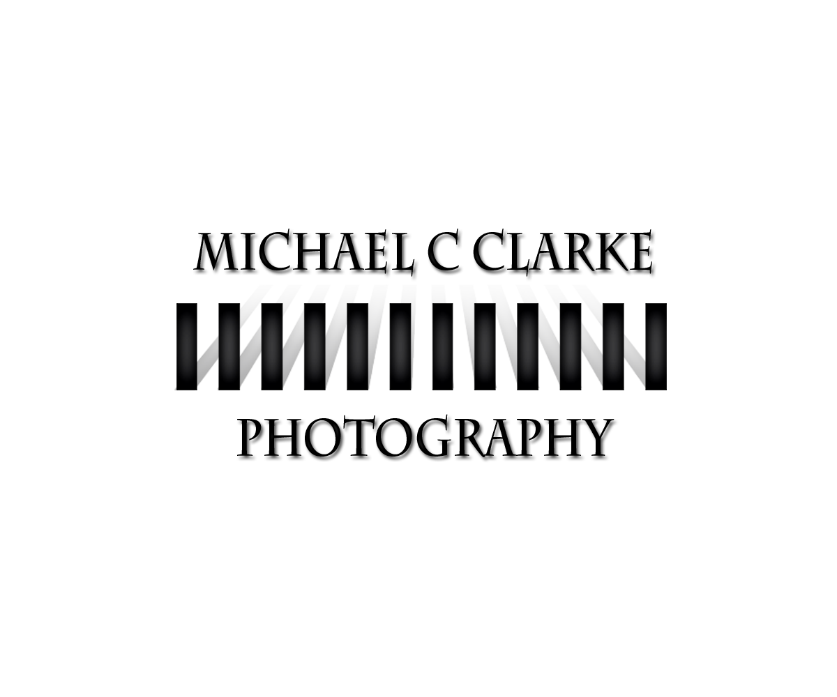 Logo Design by damian for this project | Design #2224670