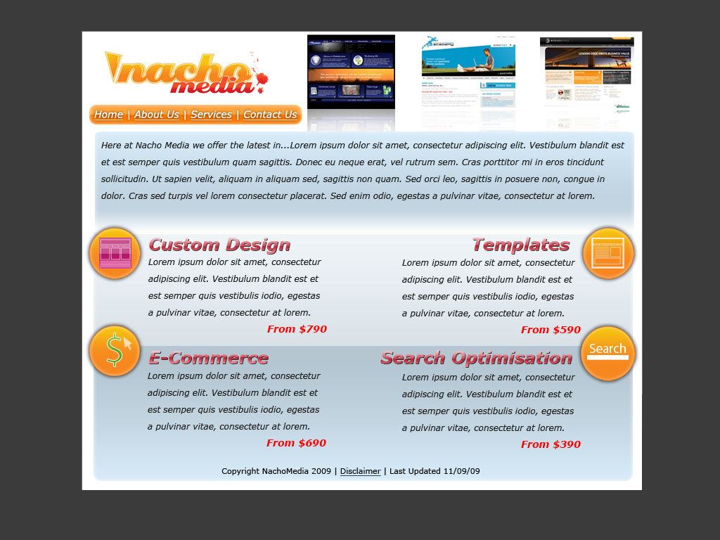 Web Design by ML Web Services for Nacho Media | Design #19849