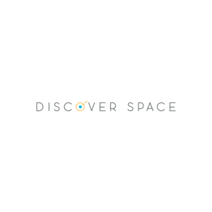 Logo Design by Bushmandesign for Platinum IDS | Design: #10369663