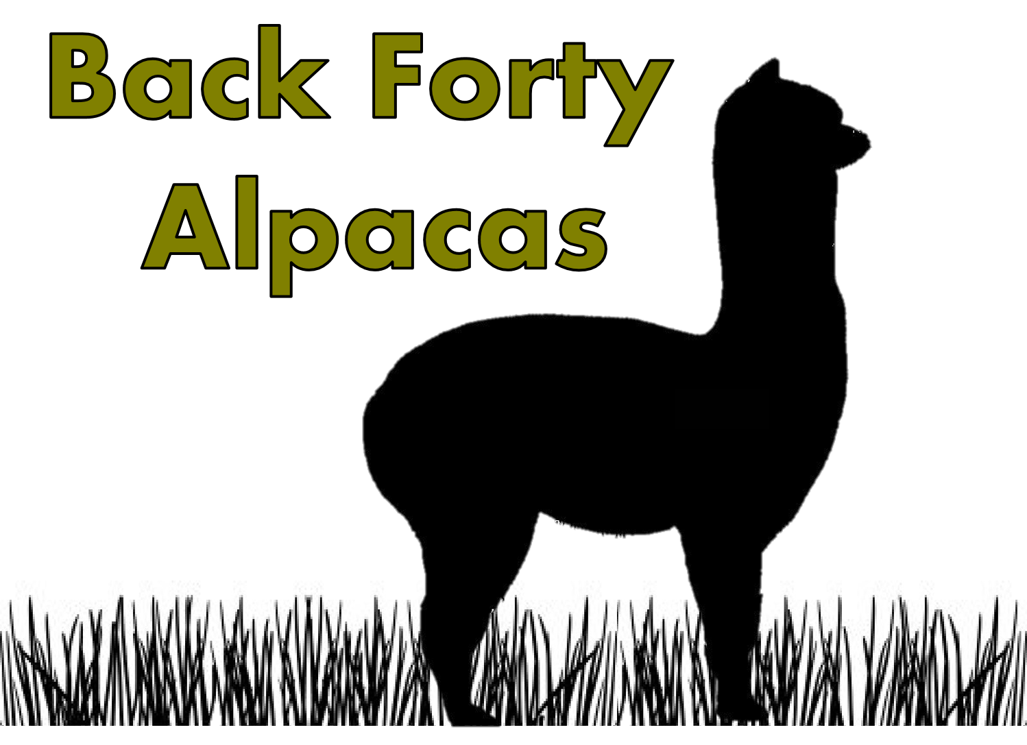 Diseño de Logo por Penquinn Studios para Back Forty Alpacas | Diseño #2210345