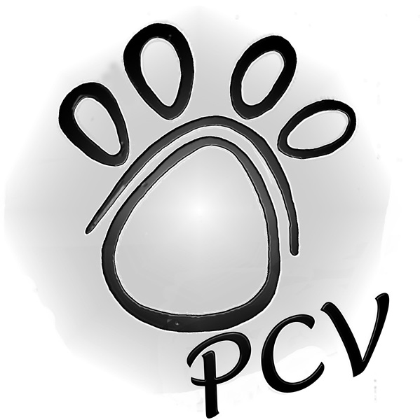 Diseño de Logo por gesaflow  para este proyecto | Diseño #2181545