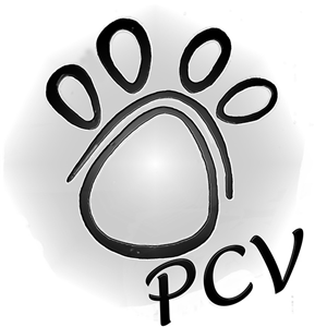 Logo Design by gesaflow 