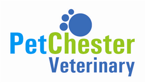 Logo Design by Trads