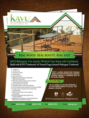 Flyer Design by creative.bugs for this project | Design: #10308696