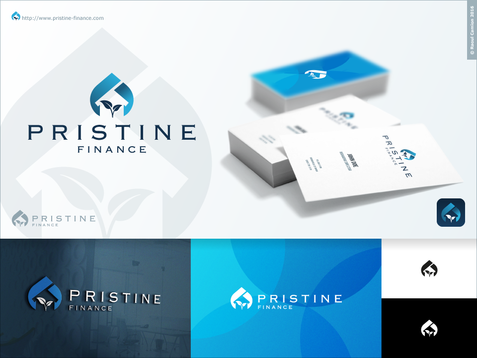 Logo Design by Raoul Camion for this project | Design #10338939