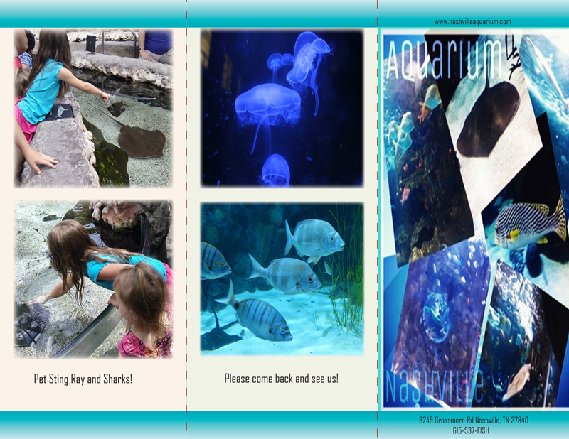 Flyer Design by AngelaWomble82 for Eddies Play Ltd - The Play KIng | Design #10315058