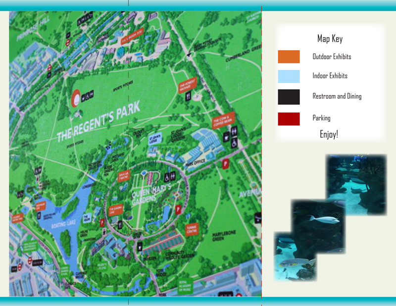 Flyer Design by AngelaWomble82 for Eddies Play Ltd - The Play KIng | Design #10315070