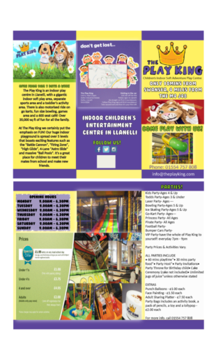 Flyer Design by AngelaWomble82 for Eddies Play Ltd - The Play KIng | Design #10333288