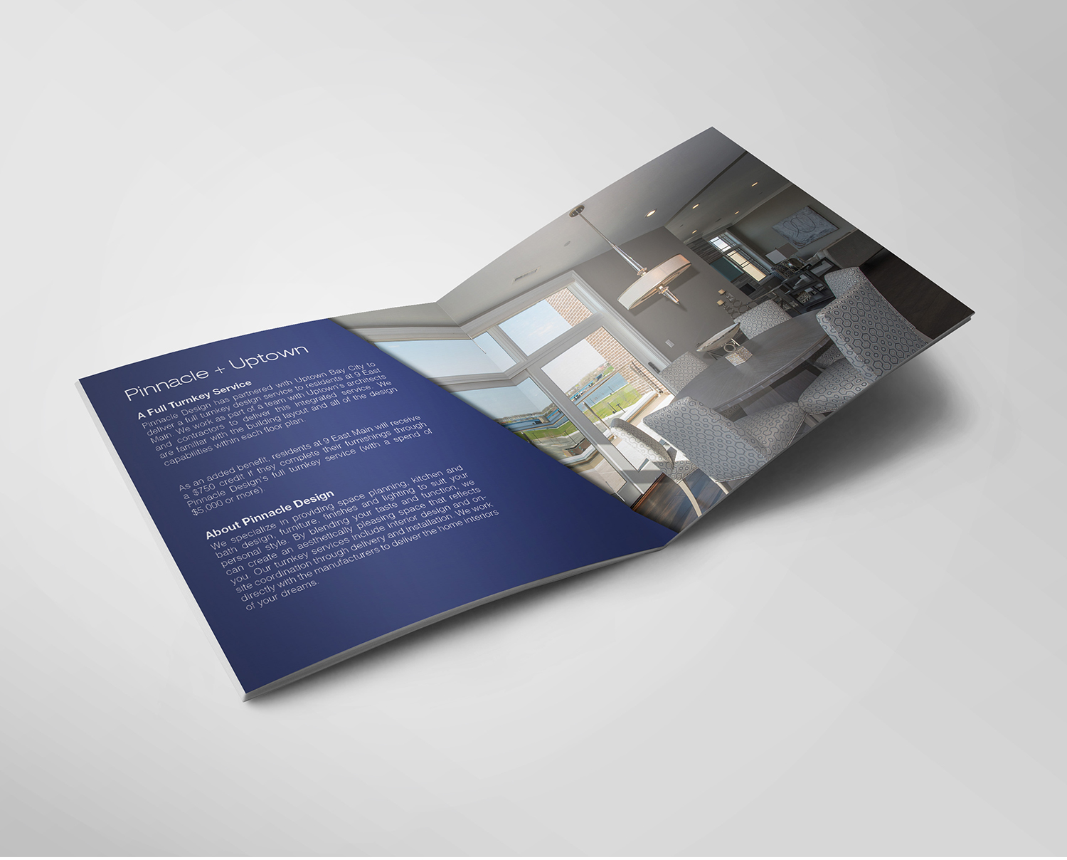 Diseño de Flyer por ignuscampher para este proyecto | Diseño #10360537