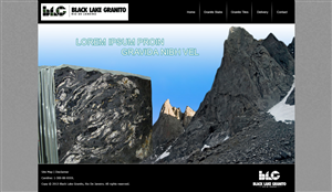Web Design by Tanvir for LEDAGT | Design: #2253956