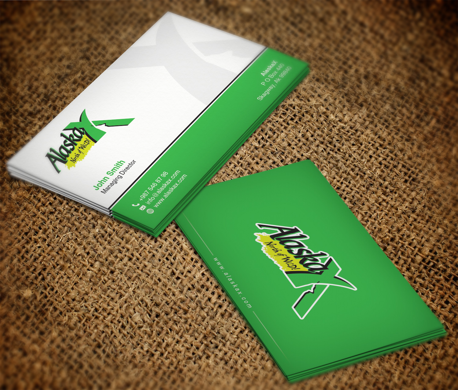 Diseño de Tarjeta de Presentación por WebixBD para AlaskaX | Diseño #10323984