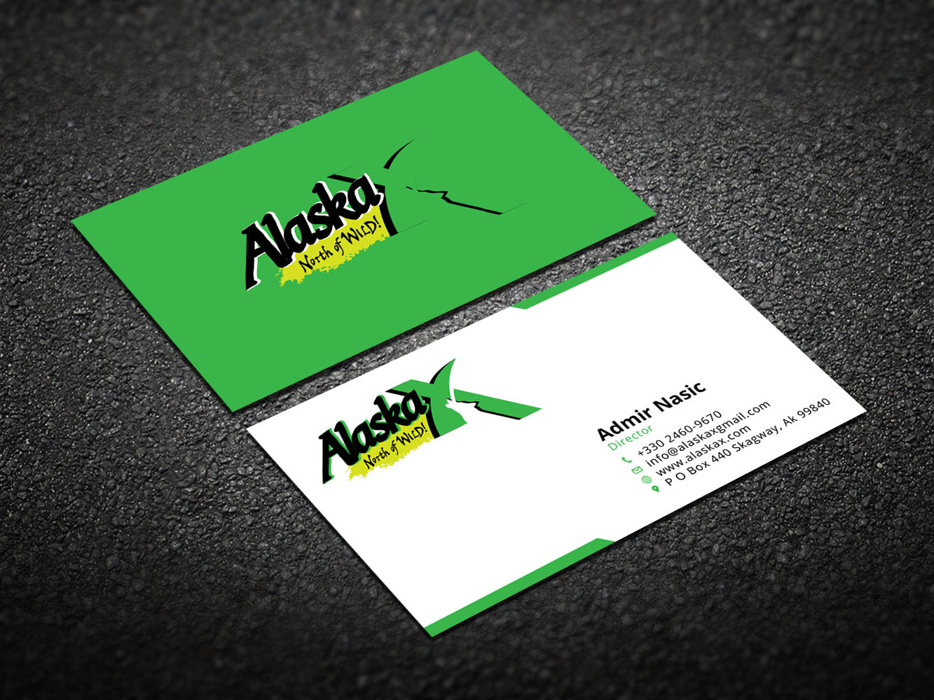 Business Card Design by Verified artistry (Design garden) for AlaskaX | Design #10330616