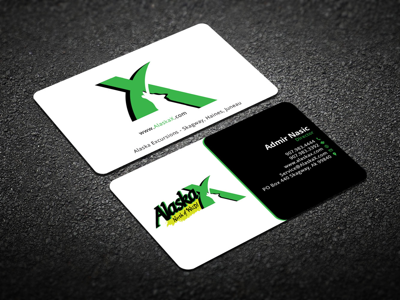 Business Card Design by Verified artistry (Design garden) for AlaskaX | Design #10399323