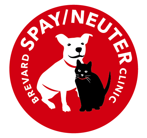 Diseño de Logo por TSEdesign para este proyecto | Diseño #10388912