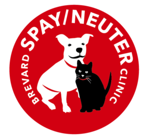 Logo Design by TSEdesign