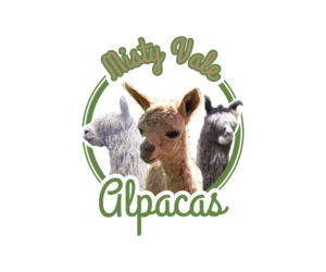 Logo Design by suryokusumo for this project | Design: #10338006