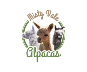 Logo Design by suryokusumo for this project | Design: #10344324