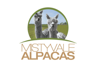 Logo Design by ney@onedaygraphics for this project | Design: #10371145