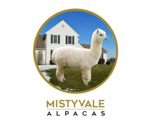 Logo Design by Navz for this project | Design: #10334428