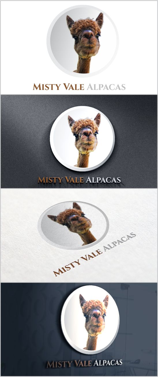 Logo Design by DG for this project | Design #10366197