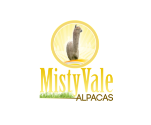Logo Design by Marco Rubio for this project | Design: #10379512