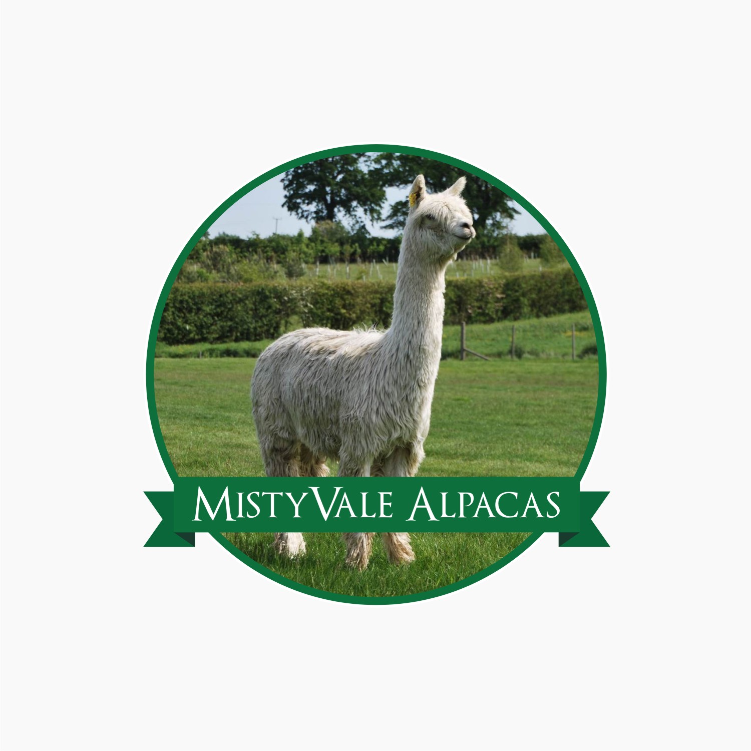 Design de Logo par ivoscasofi 2 pour ce projet | Design #10349070