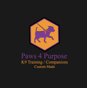 Logo Design by sparvez303