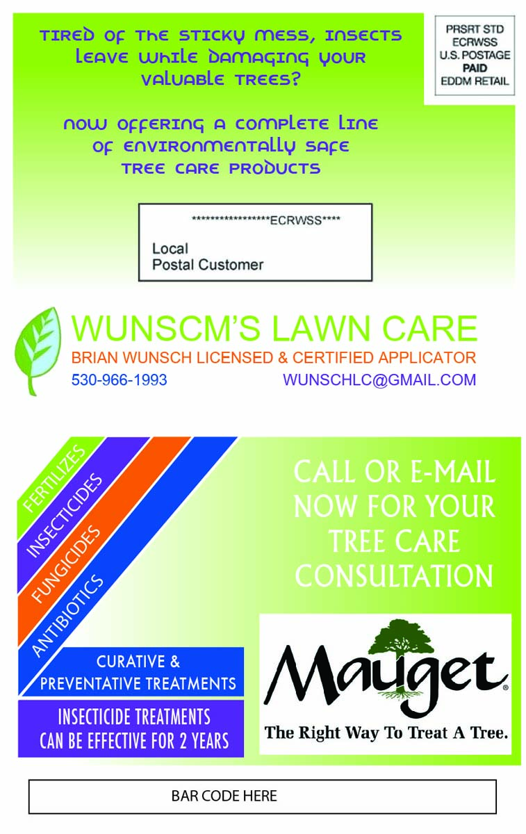 Postcard Design by gcb.designs for Wunsch's Lawn Care | Design #10501761