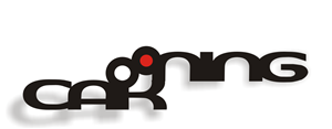 Logo Design by bochelo