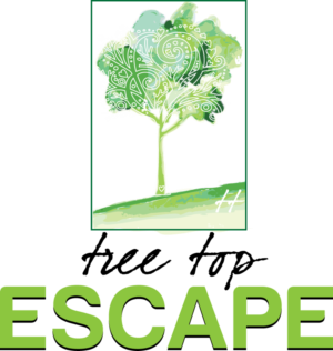 Logo Design by Susie Basso