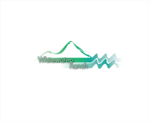 Logo Design by isanouba