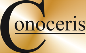 Logo Design by emiasaa