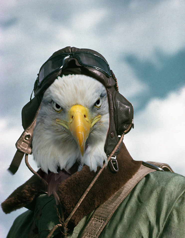 Photoshop Design by Killington for DesignCrowd (Community Contests) | Design #10366432