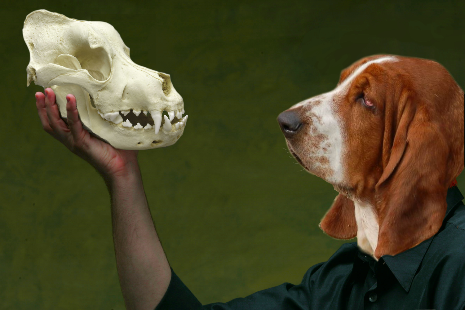 Photoshop-Design von clauder13 für DesignCrowd (Community Contests) | Design #10378043