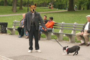 Photoshop Design by camlynch25