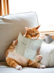 Photoshop Design by swainju16 for DesignCrowd (Community Contests) | Design #10364460