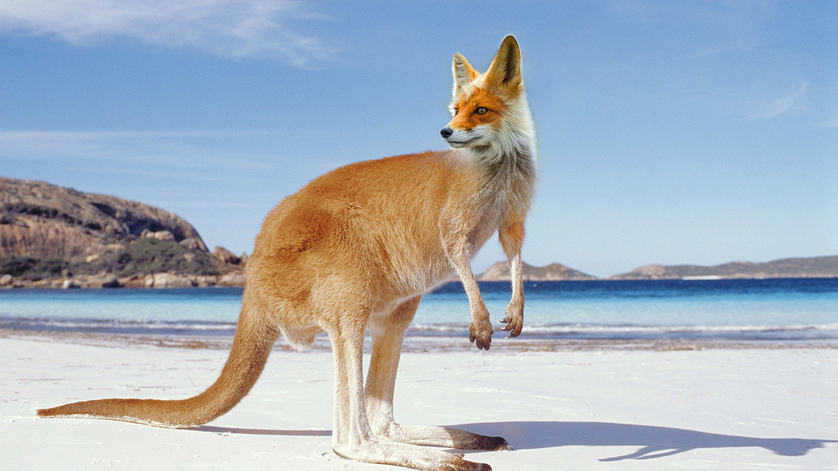 Design Photoshop par Andri An pour DesignCrowd LLC | Design #10369345