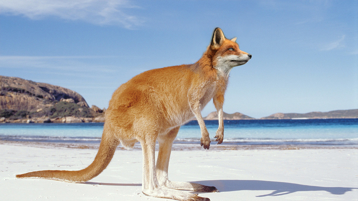 Photoshop Design by Andri An for DesignCrowd LLC | Design #10369357