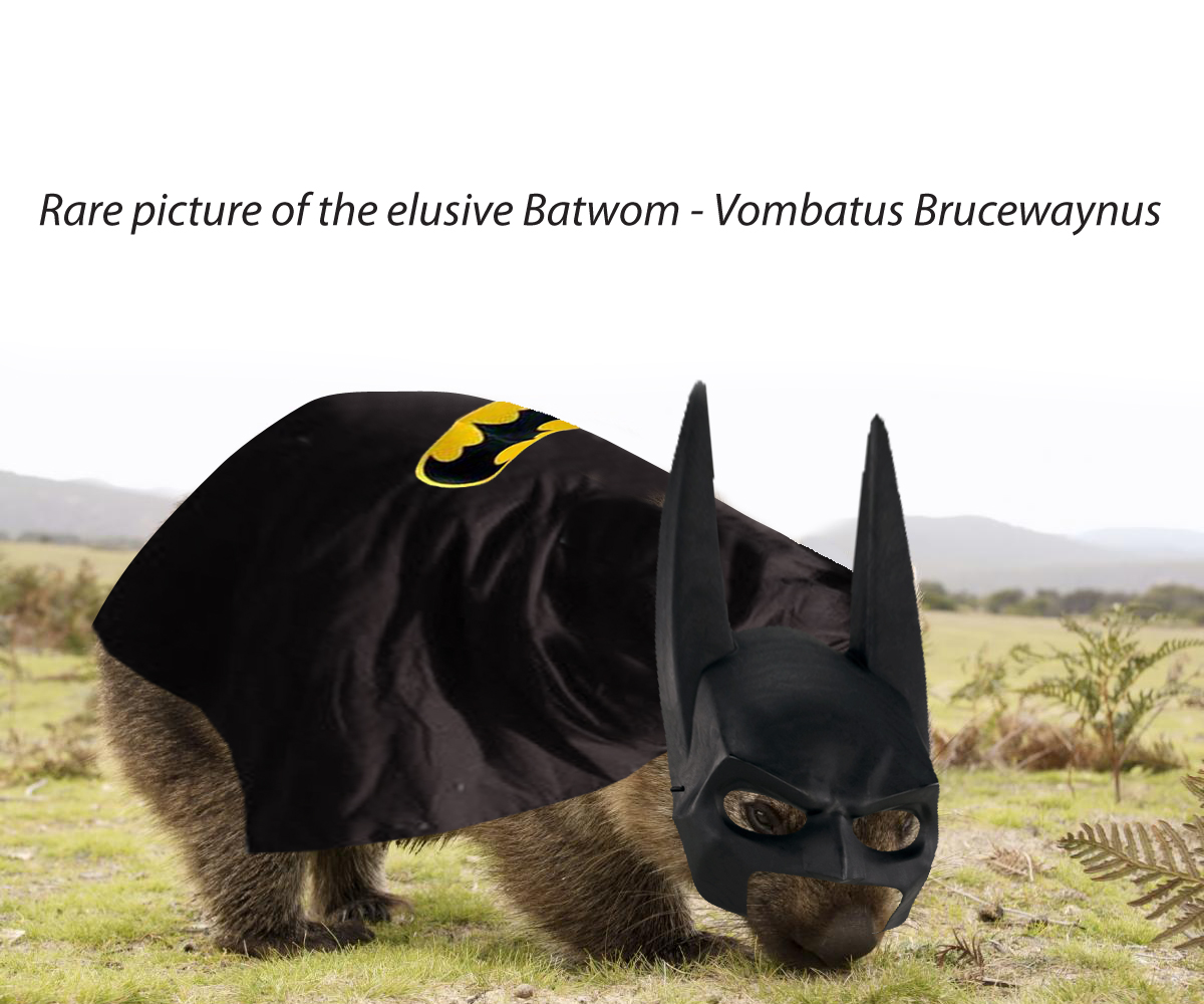 Photoshop Design by Buck Tornado for DesignCrowd LLC | Design #10380129