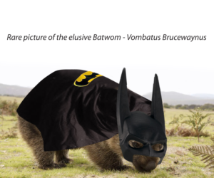 Photoshop Design by Buck Tornado for DesignCrowd LLC | Design: #10380129