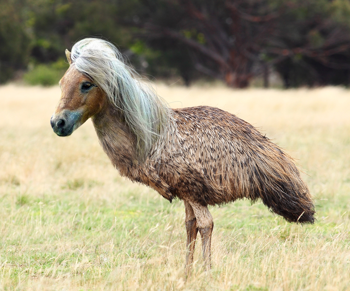 Diseño de Photoshop por jkrebs04 para DesignCrowd LLC | Diseño #10390160