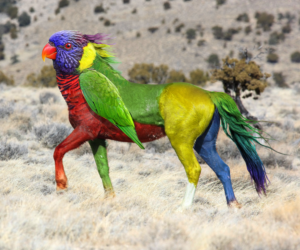 Photoshop Design Contest Submission #10390250