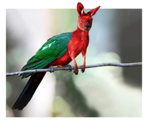 Photoshop Design Contest Submission #10390327