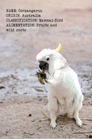 Photoshop Design by A Adcock for DesignCrowd LLC | Design: #10400942