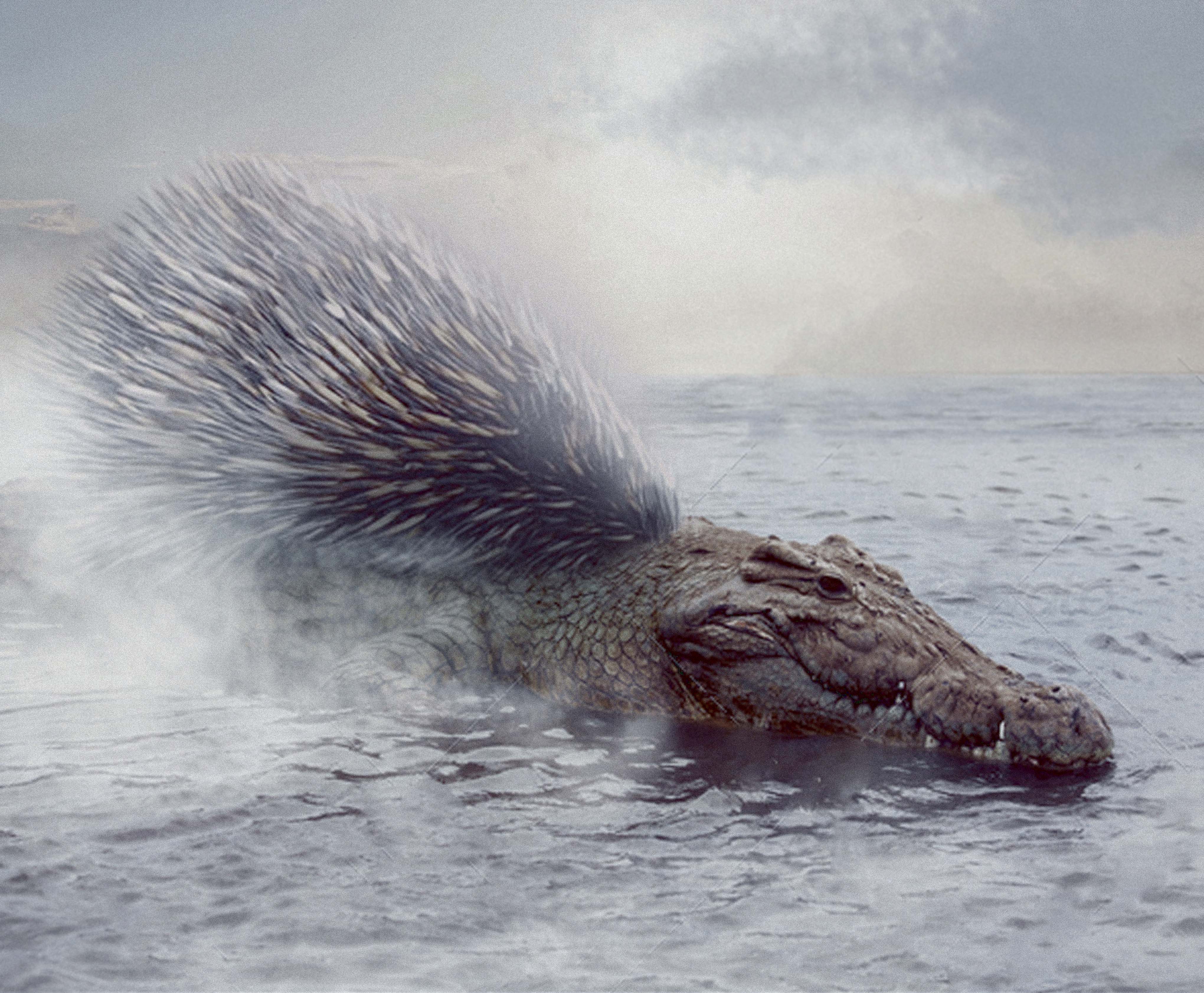 Photoshop Design by Creative Chamber for DesignCrowd LLC | Design #10403828