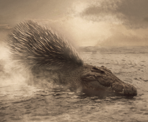 Photoshop Design by Creative Chamber for DesignCrowd LLC | Design: #10403830