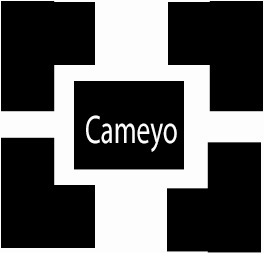 Logo Design by James